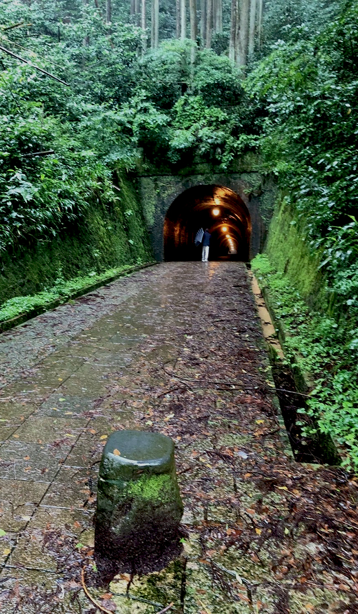江戸時代の東海道の静岡県内の難所、宇津ノ谷峠。その峠越えを楽にしようと、明治時代にトンネルが掘られました。それがこの写真に写っている「明治のトンネル」です。緑に囲まれた山道の先にある静かなトンネル。この入り口はトンネルの東側。静岡市へ向かう岡部側です。ここからトンネルに入り反対側の西側、藤枝市方面へ抜けていきます。その入り口に立つ男性が一人写っています。「岩三」の町会長の後ろ姿です。2026年6月28日、岩本町三丁目町会の親睦旅行での一幕です。